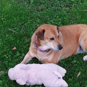 Meet your Posher, Tammy